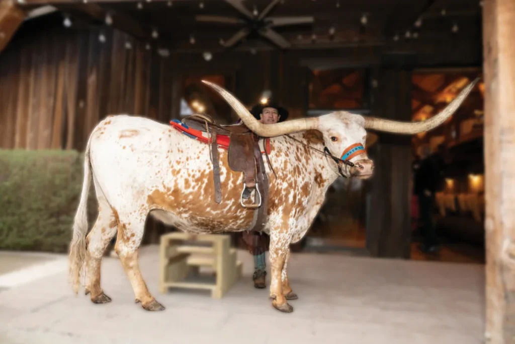 Wild West Entertainment