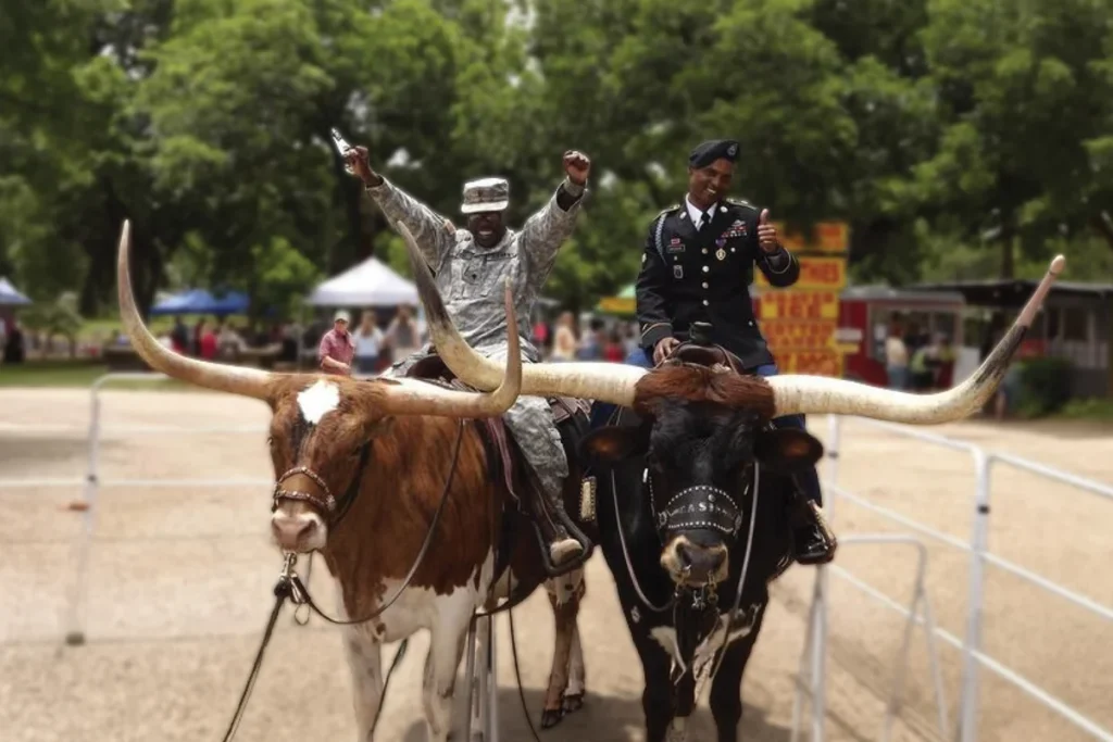 Wild West Entertainment