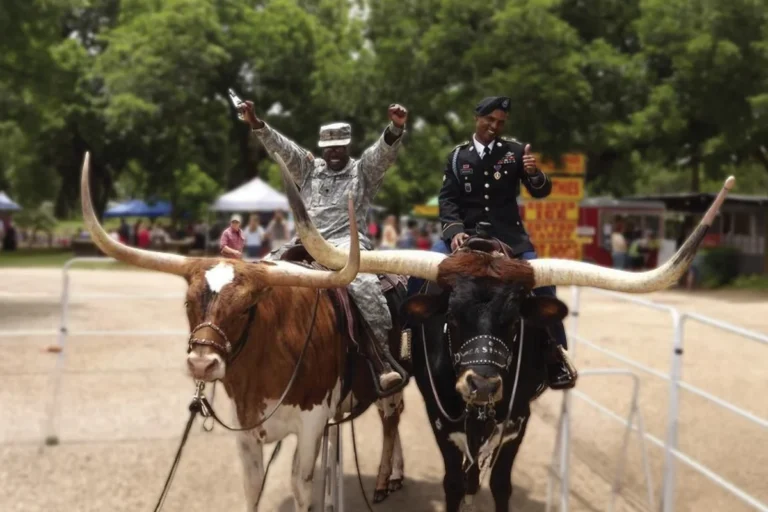 Wild West Entertainment